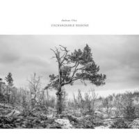 Ulvo Andreas - Unchangable Seasons in the group CD / Jazz at Bengans Skivbutik AB (2253945)