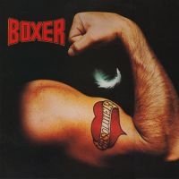 Boxer - Absolutely in the group VINYL / Pop-Rock at Bengans Skivbutik AB (2255717)