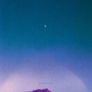 Invisible Boy - Invisible Boy in the group CD / Pop-Rock at Bengans Skivbutik AB (2262846)