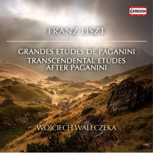 Wojciech Walaczek - Transcendental Etudes After Paganin in the group OUR PICKS / Christmas gift tip CD at Bengans Skivbutik AB (2389690)