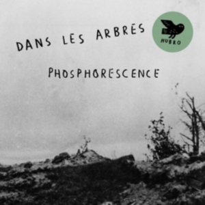 Dans Les Arbres - Phosphorensence in the group CD / Jazz at Bengans Skivbutik AB (2396044)