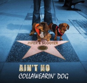Piper & Scooter - Ain't No Collawearin' Dog in the group OTHER / Övrigt / at Bengans Skivbutik AB (2396880)