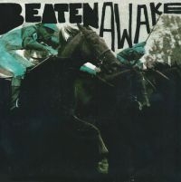 Beaten Awake - Coming Home in the group VINYL / Pop-Rock at Bengans Skivbutik AB (2404663)