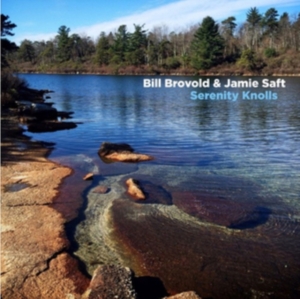 Brovold Bill & Jamie Saft - Serenity Knolls in the group VINYL / Pop-Rock at Bengans Skivbutik AB (2404749)