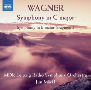 Mdr Leipzig Radio Symphony Orchestr - Symphony In C Major in the group OUR PICKS / Christmas gift tip CD at Bengans Skivbutik AB (2405726)