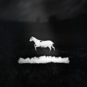 Les Discrets - Predateurs (2 Cd/Dvd Rom Hardcover in the group OTHER / Övrigt / at Bengans Skivbutik AB (2409431)