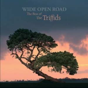 Triffids - Wide Open RoadBest Of in the group CD / Rock at Bengans Skivbutik AB (2414254)