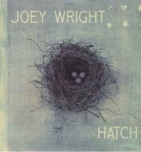 Wright Joey - Hatch in the group CD / Pop-Rock at Bengans Skivbutik AB (2417819)