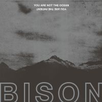 Bison - You Are Not The Ocean You Are The P in the group CD / Pop-Rock at Bengans Skivbutik AB (2437223)