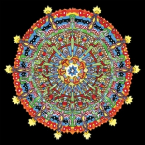 Of Montreal - Hissing Fauna, Are You The Des in the group VINYL / Pop-Rock at Bengans Skivbutik AB (2498932)