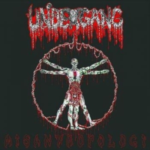 Undergang - Misantropologie in the group CD / Hårdrock at Bengans Skivbutik AB (2520581)