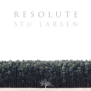 Larsen Stu - Resolute in the group VINYL / Pop-Rock at Bengans Skivbutik AB (2522976)