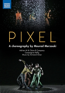 Various - Pixel (Dvd) in the group Externt_Lager /  at Bengans Skivbutik AB (2527353)