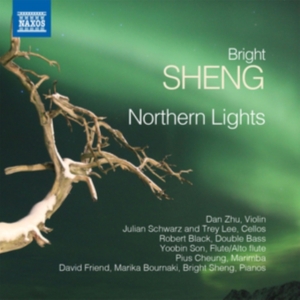 Sheng Bright - Northern Lights in the group Externt_Lager / at Bengans Skivbutik AB (2527409)