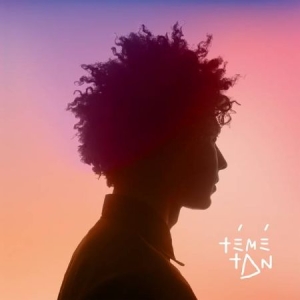 Teme Tan - Teme Tan in the group VINYL / Rock at Bengans Skivbutik AB (2545617)