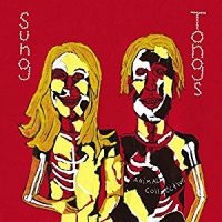 ANIMAL COLLECTIVE - SUNG TONGS in the group OUR PICKS / Christmas gift tip CD at Bengans Skivbutik AB (2547700)