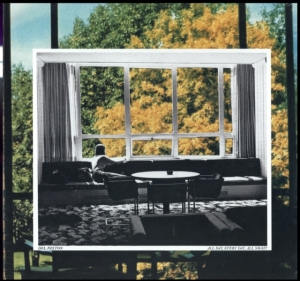 Paxton Del - All Day, Every Day, All Night in the group VINYL / Pop-Rock at Bengans Skivbutik AB (2549023)