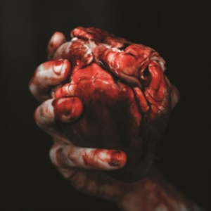 Forgotten Tomb - We Owe You Nothing in the group VINYL / Hårdrock at Bengans Skivbutik AB (2607628)