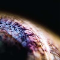 Emptyset - Skin in the group VINYL / Pop-Rock at Bengans Skivbutik AB (2714601)