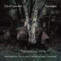 Apneseth Erlend - Nattsongar in the group VINYL / Pop-Rock at Bengans Skivbutik AB (2728640)