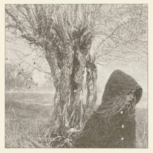 Lankum - Between The Earth And Sky in the group VINYL / Pop-Rock at Bengans Skivbutik AB (2765592)