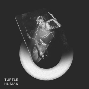 Turtle - Human in the group VINYL / Pop at Bengans Skivbutik AB (2881774)