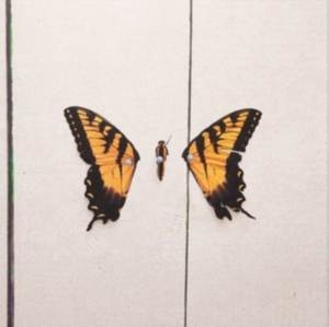 Paramore - Brand New Eyes in the group VINYL / Pop-Rock,Punk at Bengans Skivbutik AB (2887058)