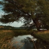 S. Carey - Hundred Acres in the group OUR PICKS / Christmas gift tip CD at Bengans Skivbutik AB (2998297)