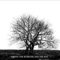 Mr David Viner - Among The Rumours And The R in the group CD / Country at Bengans Skivbutik AB (2998361)