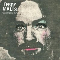 Terry Malts - Something About You in the group VINYL / Pop-Rock at Bengans Skivbutik AB (3013823)