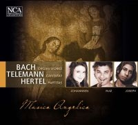 Musica Angelica - Bach, Telemann, Hertel in the group CD / Pop-Rock at Bengans Skivbutik AB (3043468)