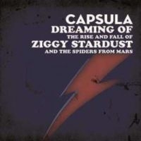 Capsula - Dreaming Of/ The Rise And Fall in the group VINYL / Pop-Rock at Bengans Skivbutik AB (3044194)