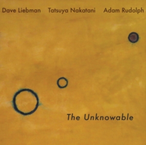 Liebman Dave Adam Rudolph Tatsuy - Unknowable in the group VINYL / Jazz at Bengans Skivbutik AB (3052807)