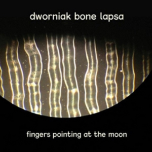 Dworniak Bone Lapsa - Fingers Pointing At The Moon in the group CD / Pop-Rock at Bengans Skivbutik AB (3110240)