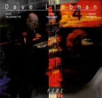 Liebman Dave - Fire in the group CD / Jazz at Bengans Skivbutik AB (3178316)