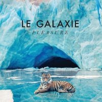 Le Galaxie - Pleasure in the group CD / Dance-Techno at Bengans Skivbutik AB (3186915)