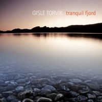 Torvik Gisle - Tranquil Fjord in the group CD / Jazz at Bengans Skivbutik AB (3207980)