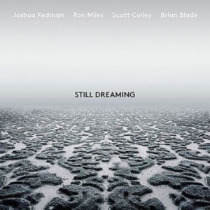 Joshua Redman - Still Dreaming (Feat. Ron Mile in the group Minishops / Joshua Redman at Bengans Skivbutik AB (3211228)