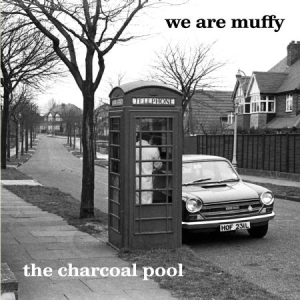 We Are Muffy - Charcoal Pool in the group OUR PICKS /  Christmas gift tip Vinyl at Bengans Skivbutik AB (3212090)