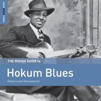 Blandade Artister - Rough Guide To Hokum Blues in the group CD / Blues,Jazz at Bengans Skivbutik AB (3223746)