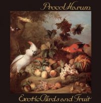 Procol Harum - Exotic Birds And Fruit:Digipak Edit in the group OUR PICKS / Christmas gift tip CD at Bengans Skivbutik AB (3223797)