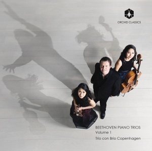 Trio Con Brio Copenhagen - Beethoven Piano Trios Volume 1 in the group Externt_Lager / at Bengans Skivbutik AB (3228591)