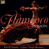 Blandade Artister - Flamenco Passion in the group OUR PICKS / Christmas gift tip CD at Bengans Skivbutik AB (3247075)