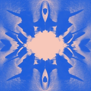 Tsembla - The Hole In The Landscape (Limited in the group VINYL / Pop-Rock at Bengans Skivbutik AB (3247647)