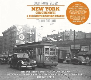 Various - Down Home Blues: New York, Cincinnati, North Eastern States in the group OTHER / Övrigt / at Bengans Skivbutik AB (3306859)
