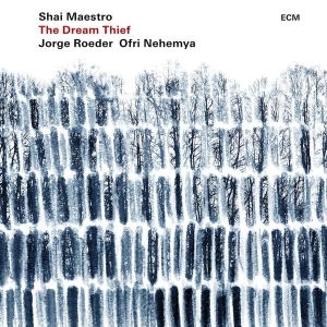 Maestro Shai Roeder Jorge Nehem - The Dream Thief in the group CD / Jazz at Bengans Skivbutik AB (3310351)