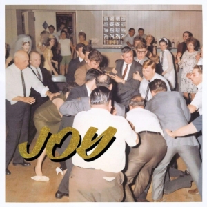 Idles - Joy As An Act Of Resistance in the group OUR PICKS / Best Album Of The 10s / Bäst Album Under 10-talet - Classic Rock at Bengans Skivbutik AB (3464541)