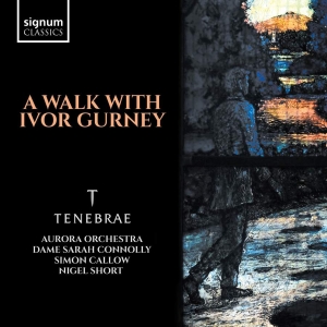 Various - A Walk With Ivor Gurney in the group OUR PICKS / Christmas gift tip CD at Bengans Skivbutik AB (3465010)