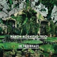 Kornstad Håkon - Im Triebhaus in the group CD / Jazz at Bengans Skivbutik AB (3478291)