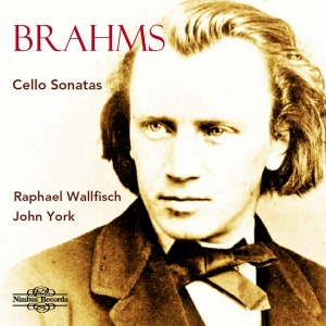 Brahms Johannes - Cello Sonatas in the group OUR PICKS / Christmas gift tip CD at Bengans Skivbutik AB (3494692)